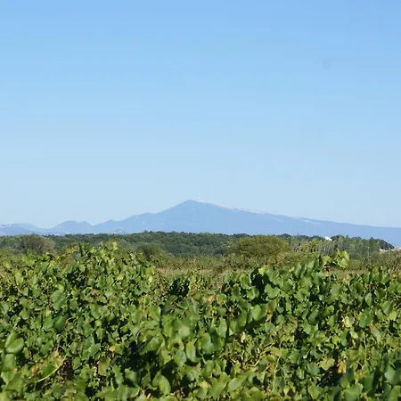 Camping Le Dolium Campsite 4*