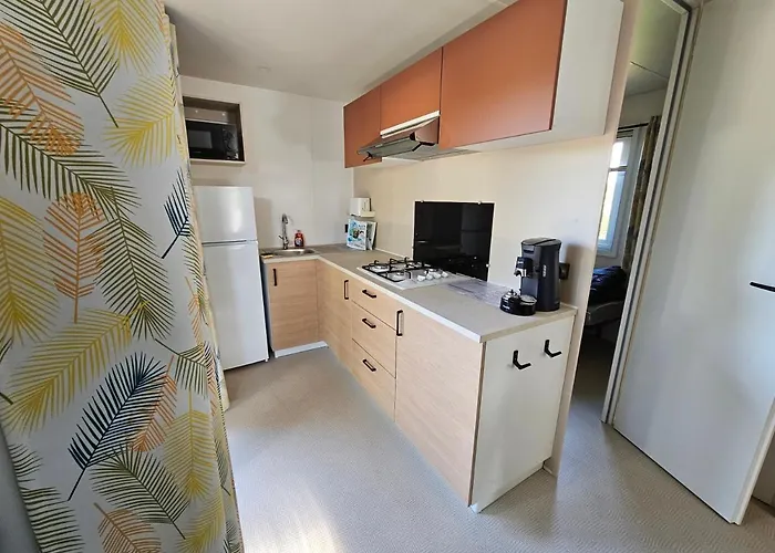 Le Dolium مكان تخييم