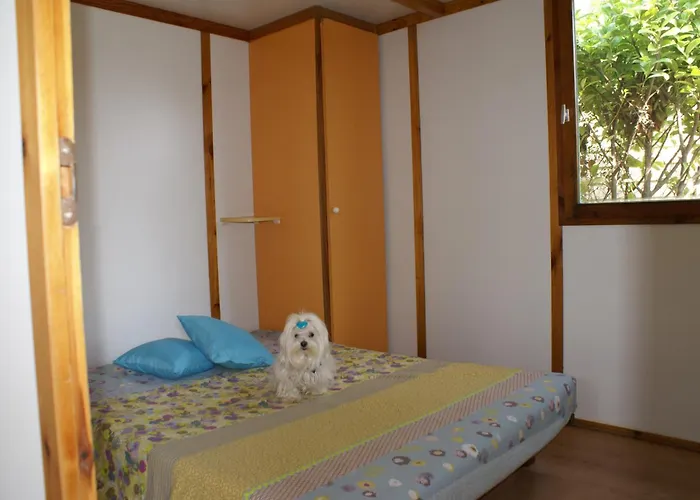 Le Dolium مكان تخييم 4*